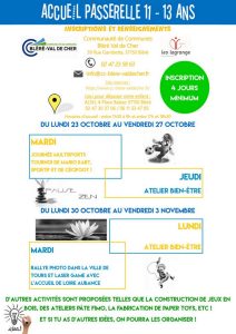 Lire la suite à propos de l’article Programme des vacances d’octobre (Accueil Passerelle 11 – 13 ans)